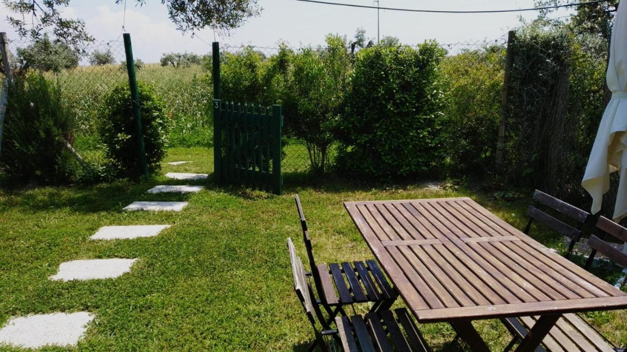 Agriturismo Casale San Benedetto Ceri ภายนอก รูปภาพ